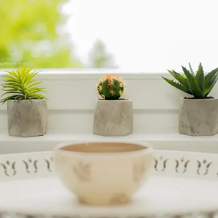 Casa de Férias Gardenlux